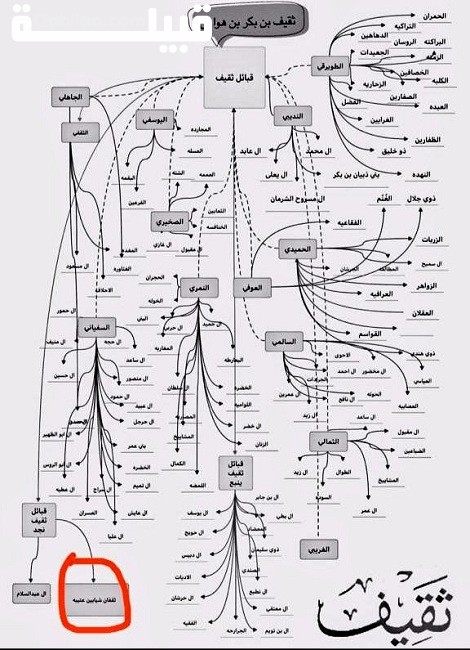 شجرة قبيلة الثقفي