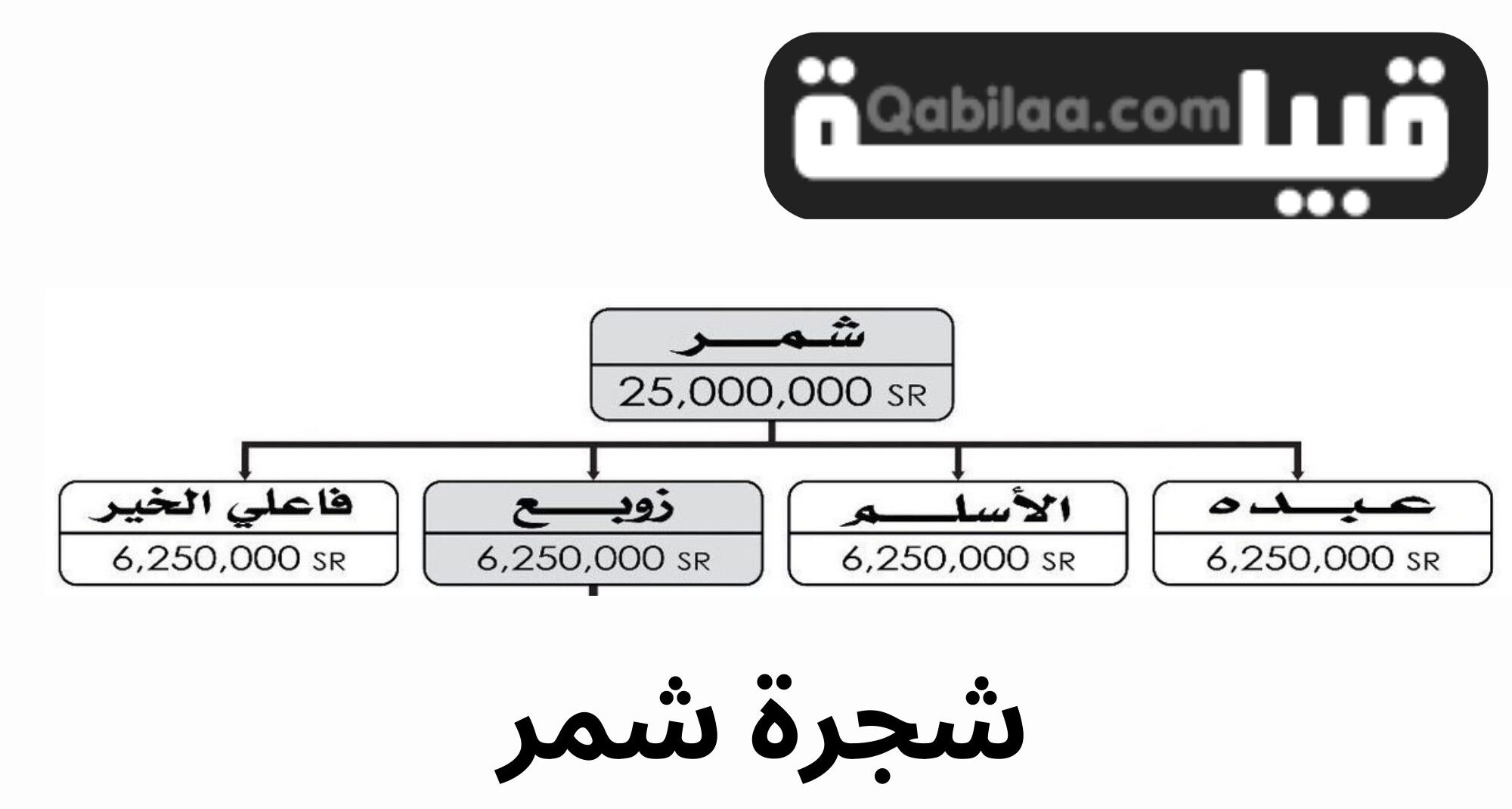 شجرة شمر