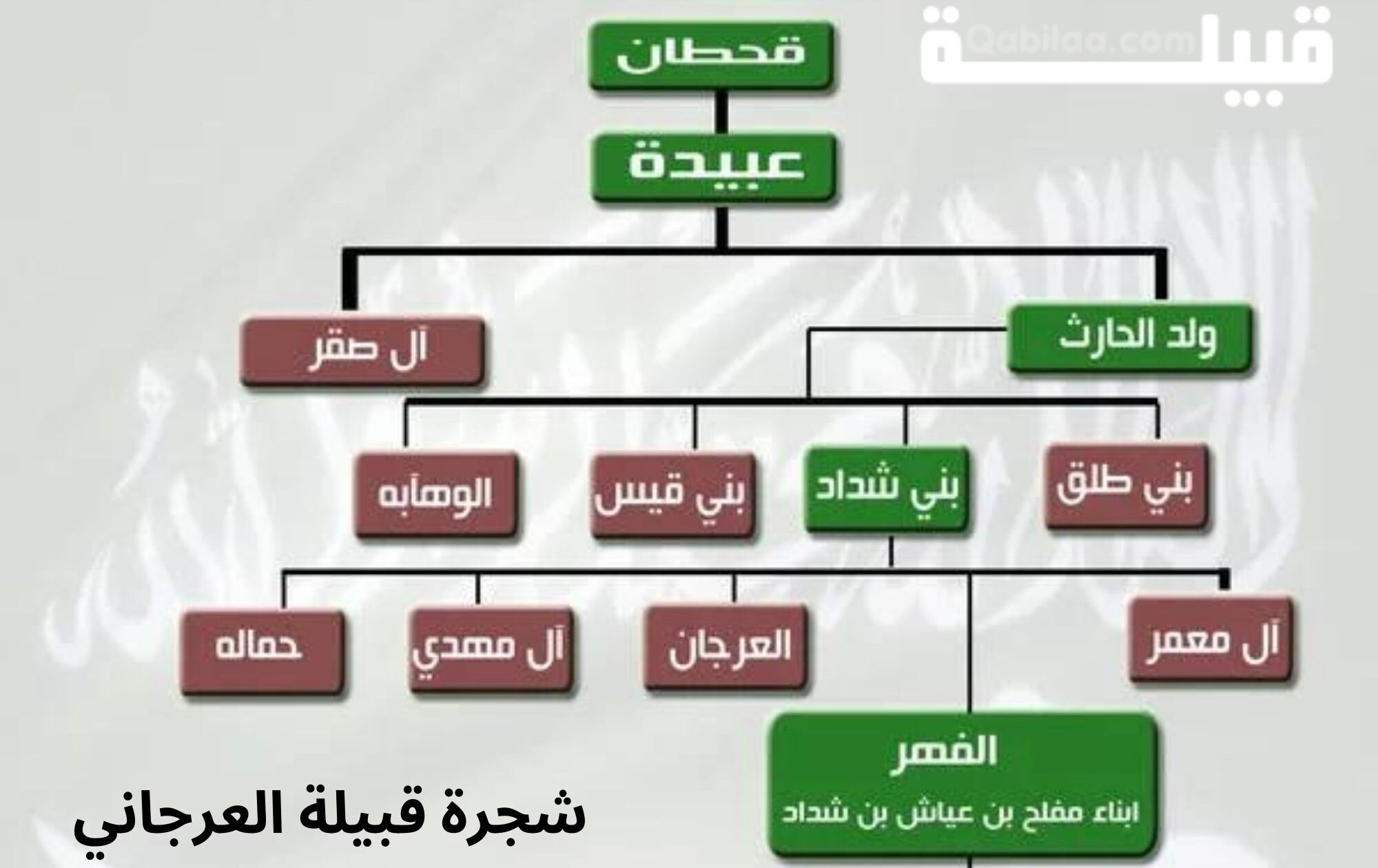 العرجاني وش يرجع وما نسب القبيلة