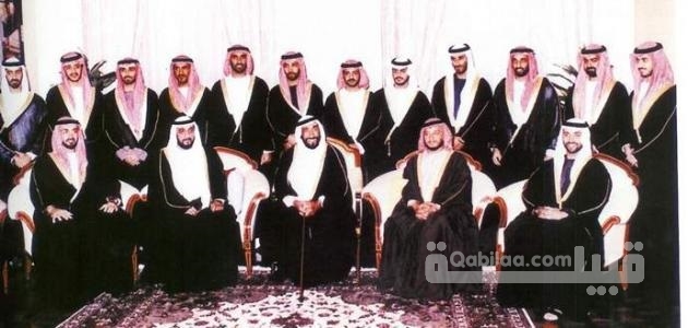 أسماء أبناء الشيخ زايد بن سلطان آل نهيان