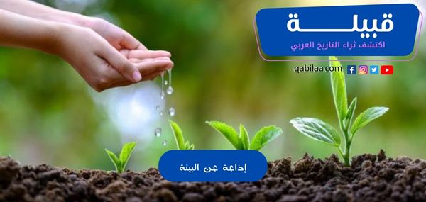 إذاعة عن البيئة