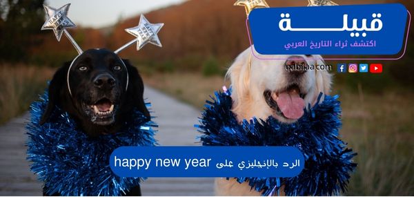 الرد بالإنجليزي على happy new year