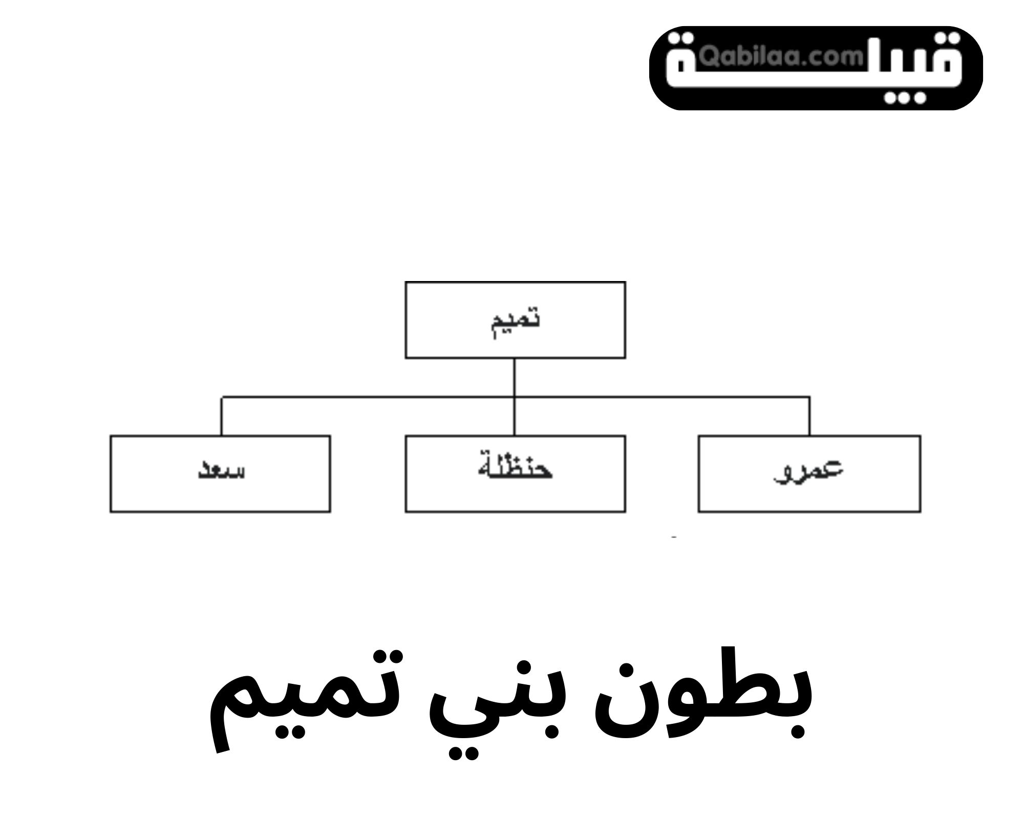 قبيلة بنو تميم في قطر