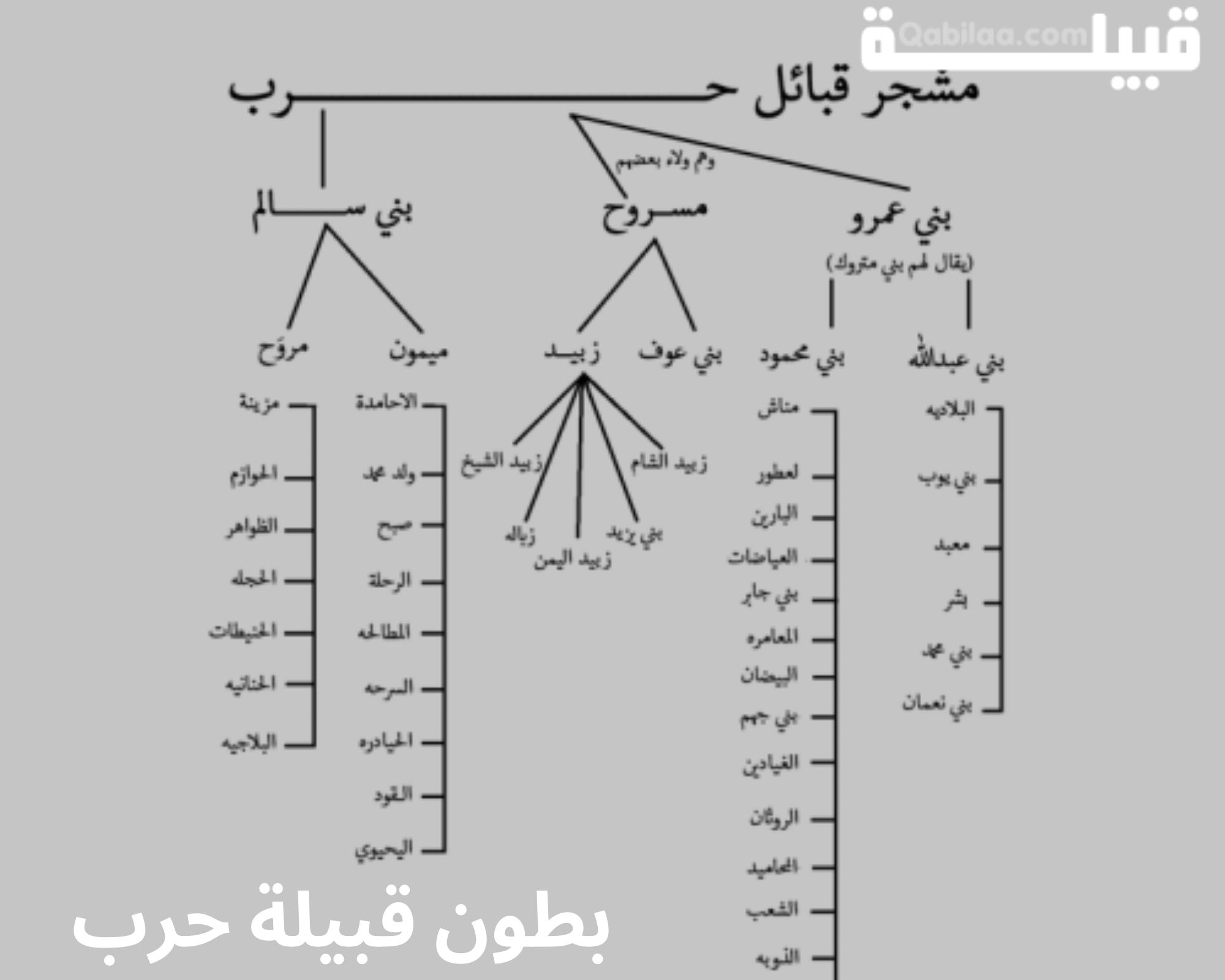 اسماء قبيلة حرب قديماً في الجاهلية وحديثاً