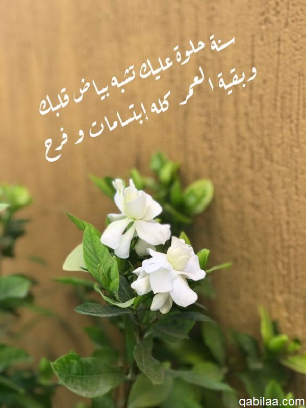 صور بوستات عيد ميلاد