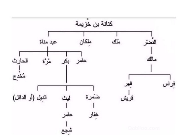 شجرة قبيلة كنانة