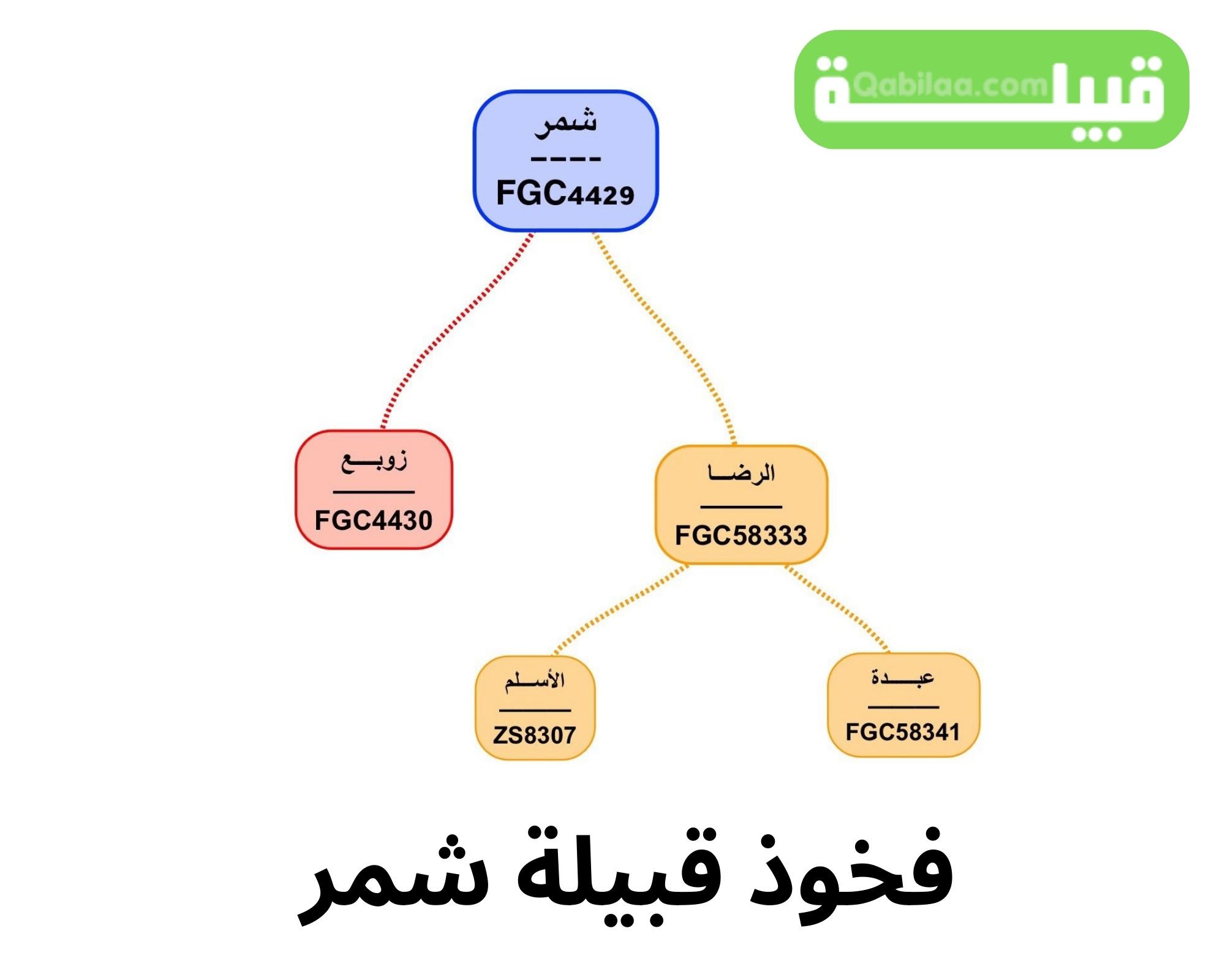 نسب قبيلة شمر