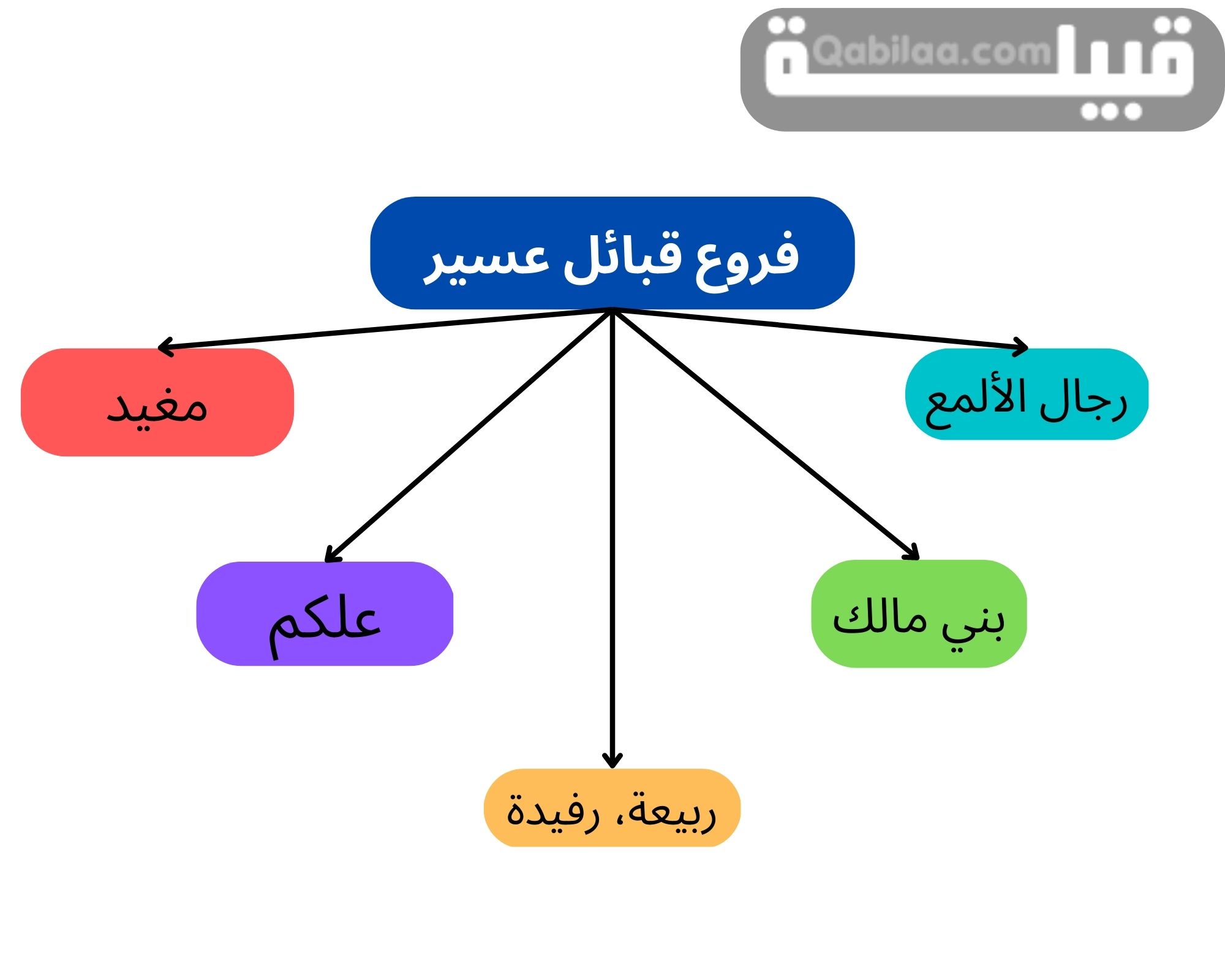 نسب قبيلة عسير وفخوذها