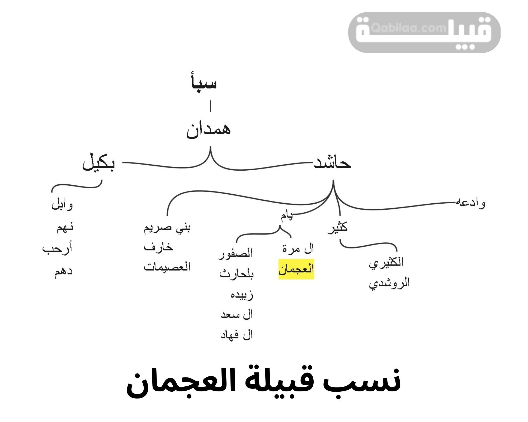 قبيلة العجمان في قطر