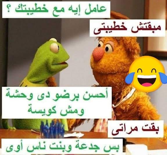 احلى نكتة في العالم كله تموت من الضحك