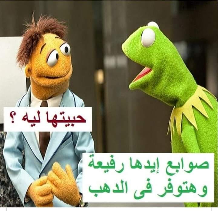 23+ من نكت الضفدع كيرميت مضحكة جديدة 2025