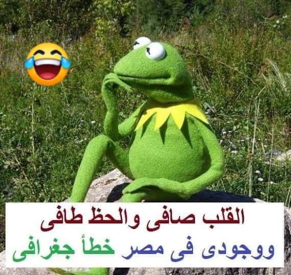 19 من نكت سخيفة تافهة تهلك من الضحك