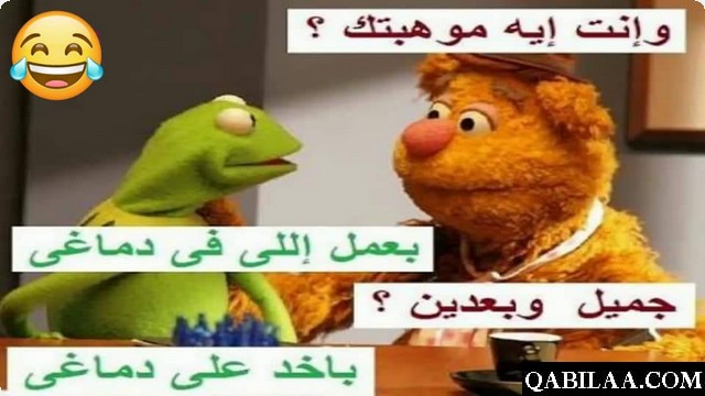 نكت الضفدع الأخضر 