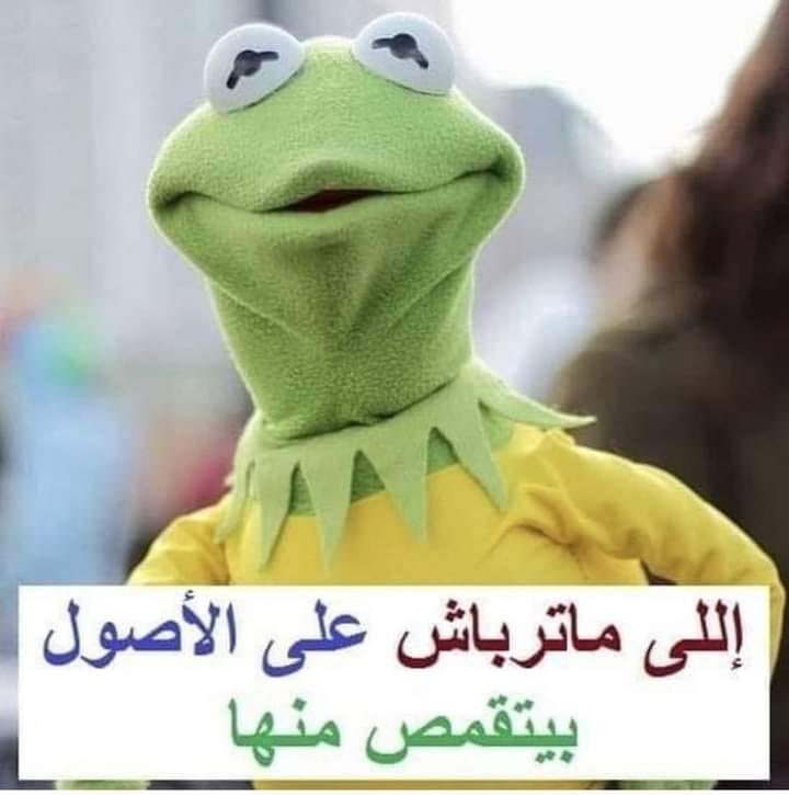 احلى نكتة في العالم كله تموت من الضحك