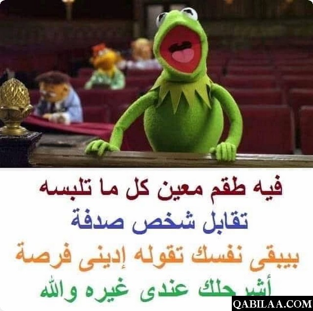 نكت الضفدع مضحكة