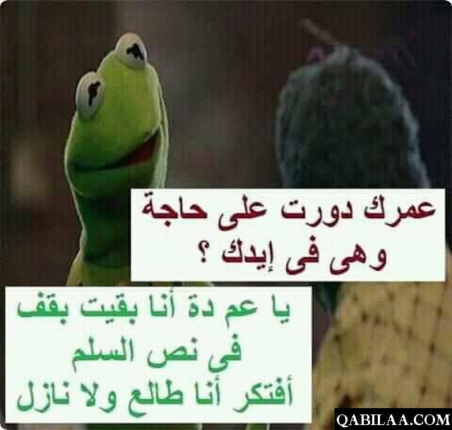 نكت الضفدع مضحكة