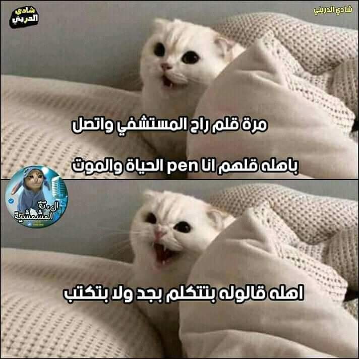 نكت-سخيفة