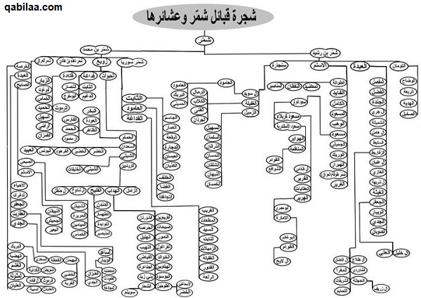 افخاذ قبائل شمر