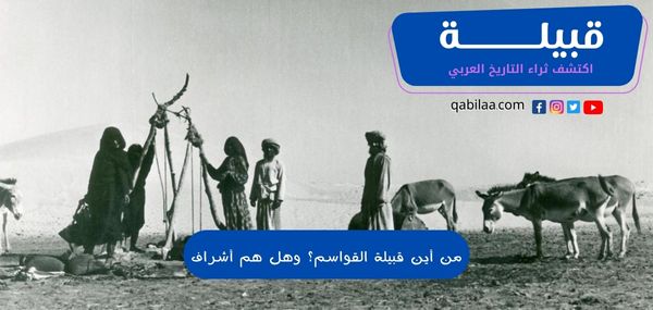 من أين قبيلة القواسم؟ وهل هم أشراف