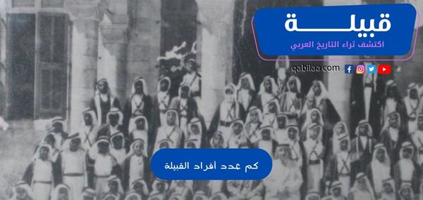 كم عدد أفراد القبيلة