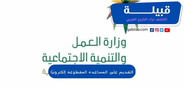 التقديم على المساعدة المقطوعة إلكترونيًا