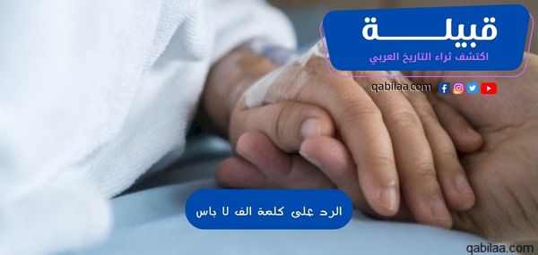 الرد على كلمة الف لا باس