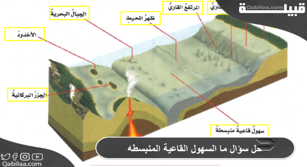 حل سؤال ما السهول القاعية المنبسطه