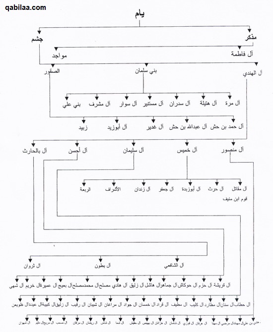 شجرة قبيلة ال مطلق يام