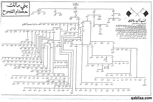 شجرة قبيلة الشحوح في جميع الدول