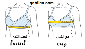 كيف أعرف مقاس الستيان بالحروف