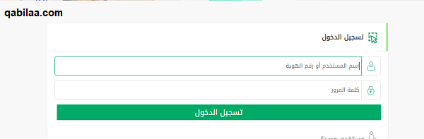 كيفية إصدار تصريح سفر للأبناء من وزارة الداخلية