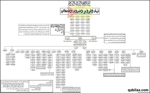 أشهر قبائل في الامارات  