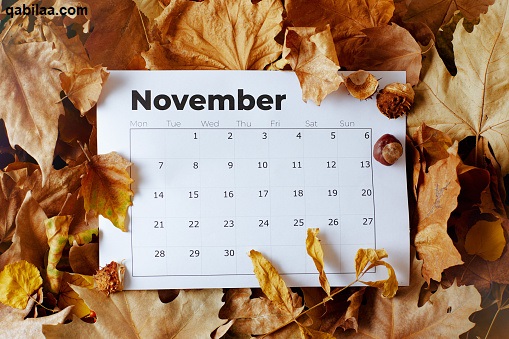 نوفمبر أي شهر بالأرقام November الترتيب الكام؟