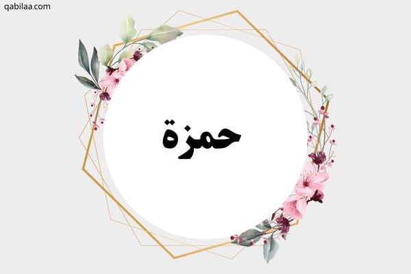 معنى اسم حمزة