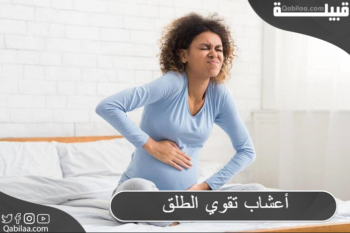 أعشاب تقوي الطلق