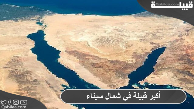 أكبر قبيلة في شمال سيناء