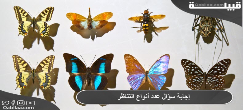 إجابة سؤال عدد أنواع التناظر