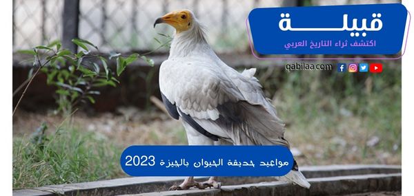 مواعيد حديقة الحيوان بالجيزة 2025