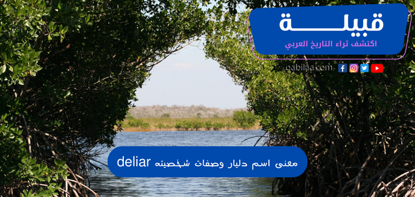 معنى اسم دليار وصفات شخصيته deliar