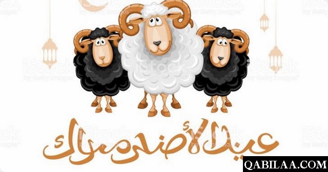 صور خروف عيد الأضحى