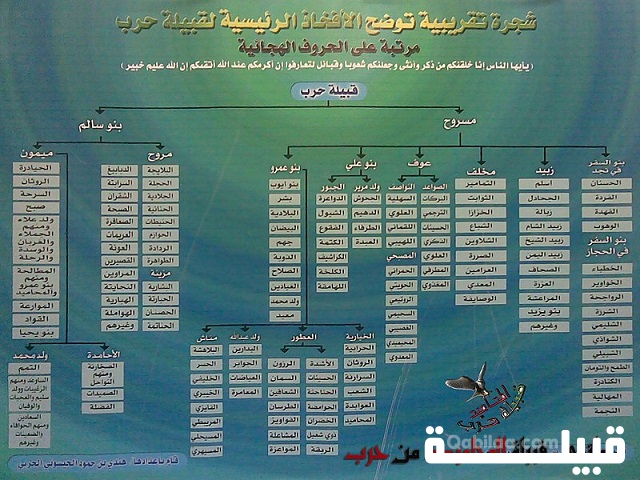 البشري وش يرجع؟