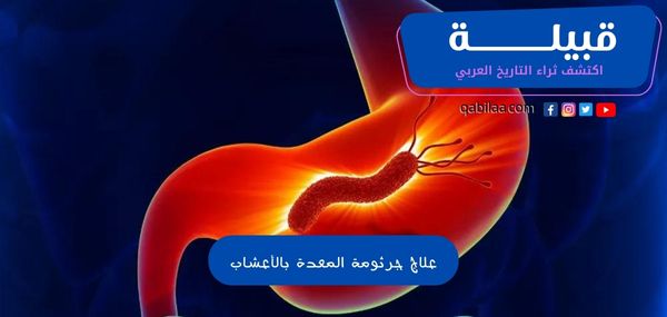 علاج جرثومة المعدة بالأعشاب