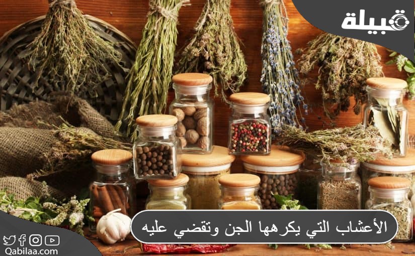 الأعشاب التي يكرهها الجن وتقضي عليه