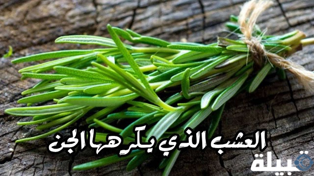 الأعشاب التي يكرهها الجن وتقضي عليه