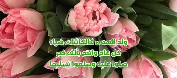 صور المولد النبوي الشريف 