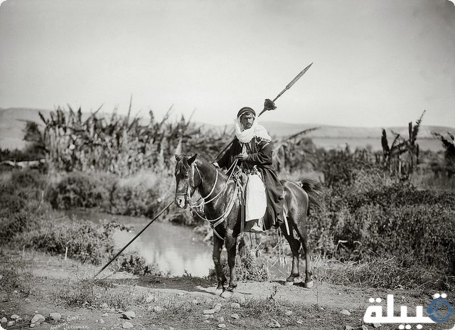 الجميعي من اي قبيله 