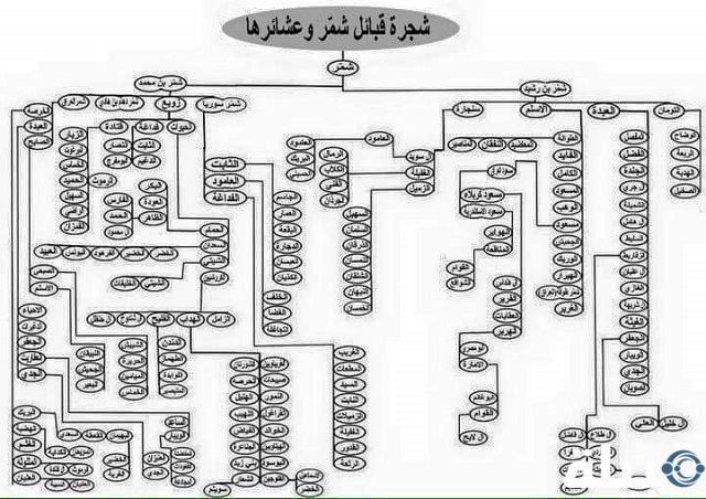 العقلا وش يرجعون؟