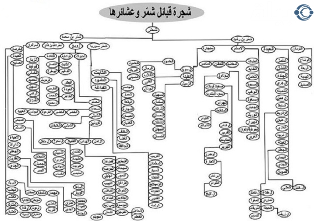 عبدالرحمن غريب وش يرجع؟