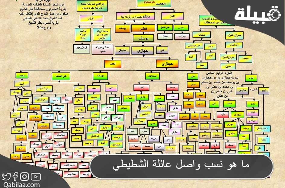 نسب واصل عائلة الشطيطي