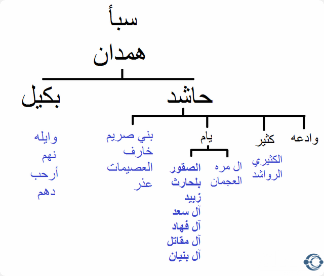 كم عدد قبيلة يام 